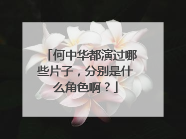 何中华都演过哪些片子，分别是什么角色啊？