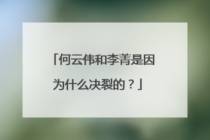 何云伟和李菁是因为什么决裂的?