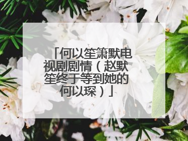 何以笙箫默电视剧剧情（赵默笙终于等到她的何以琛）