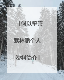 何以笙箫默林鹏个人资料简介