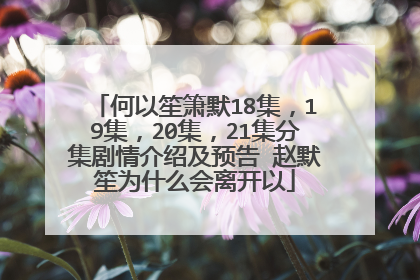 何以笙箫默18集，19集，20集，21集分集剧情介绍及预告 赵默笙为什么会离开以