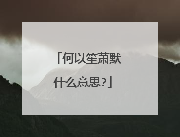 何以笙萧默什么意思?