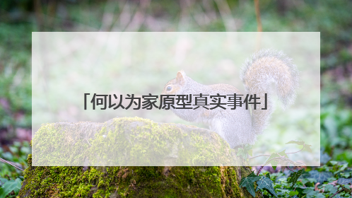 何以为家原型真实事件