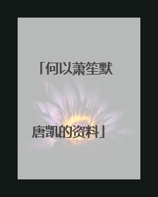 何以萧笙默唐凯的资料