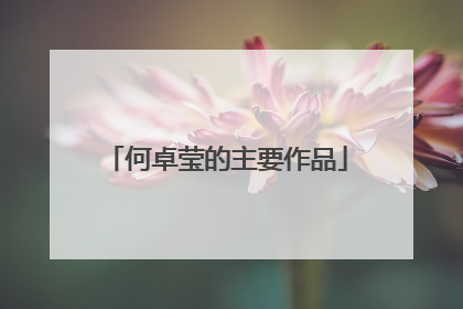 何卓莹的主要作品