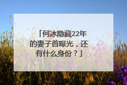 何冰隐藏22年的妻子首曝光,还有什么身份?