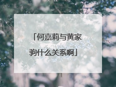 何嘉莉与黄家驹什么关系啊