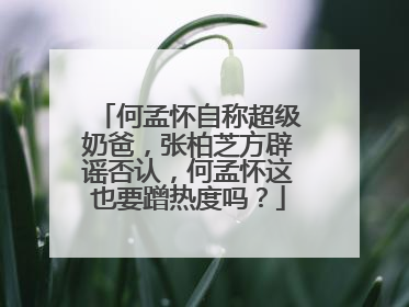 何孟怀自称超级奶爸,张柏芝方辟谣否认,何孟怀这也要蹭热度吗?