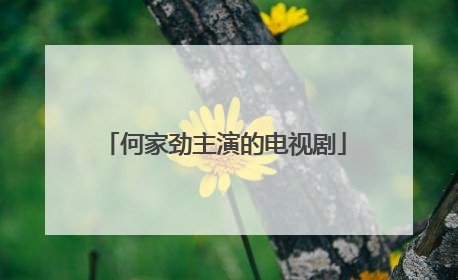 何家劲主演的电视剧