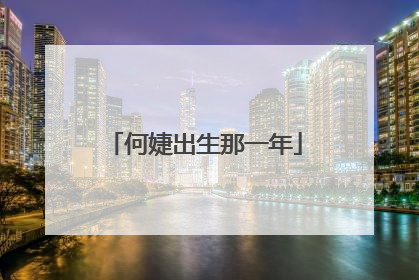 何婕出生那一年