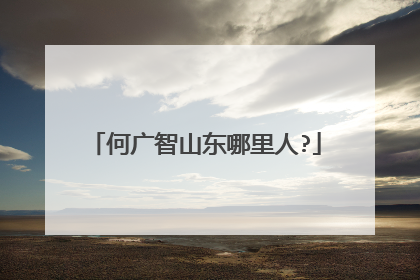 何广智山东哪里人?