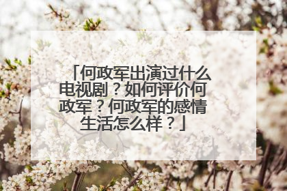 何政军出演过什么电视剧？如何评价何政军？何政军的感情生活怎么样？