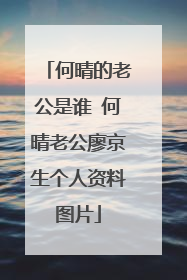 何晴的老公是谁 何晴老公廖京生个人资料图片