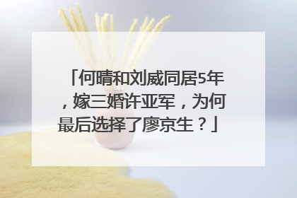 何晴和刘威同居5年,嫁三婚许亚军,为何最后选择了廖京生?