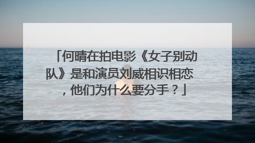 何晴在拍电影《女子别动队》是和演员刘威相识相恋，他们为什么要分手？
