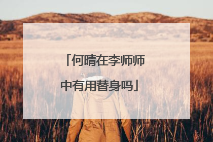 何晴在李师师中有用替身吗