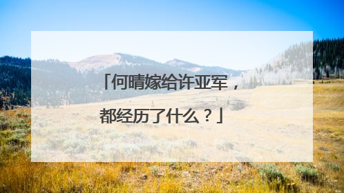 何晴嫁给许亚军，都经历了什么？