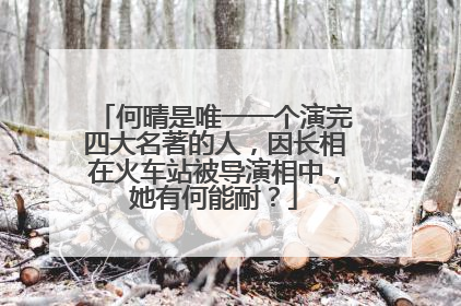 何晴是唯一一个演完四大名著的人，因长相在火车站被导演相中，她有何能耐？