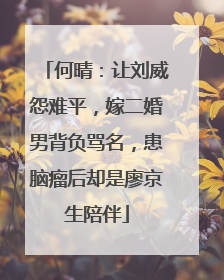 何晴：让刘威怨难平，嫁二婚男背负骂名，患脑瘤后却是廖京生陪伴