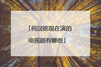 何晟铭现在演的电视剧有哪些
