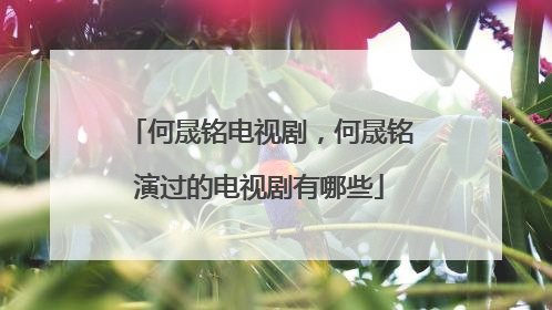 何晟铭电视剧，何晟铭演过的电视剧有哪些