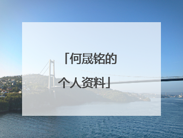 何晟铭的个人资料