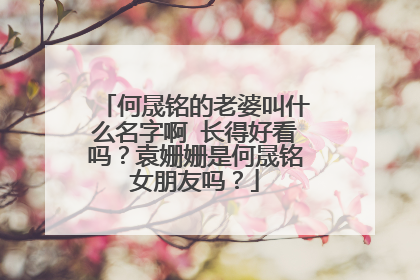 何晟铭的老婆叫什么名字啊 长得好看吗？袁姗姗是何晟铭女朋友吗？