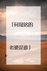 何晟铭的老婆是谁