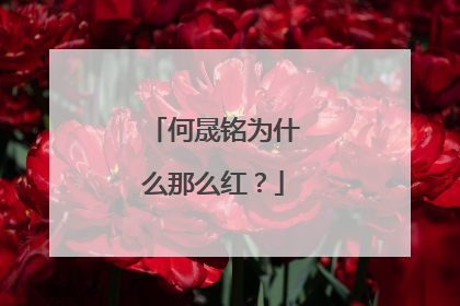 何晟铭为什么那么红？