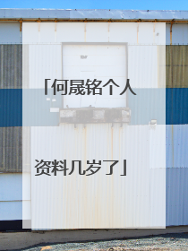 何晟铭个人资料几岁了