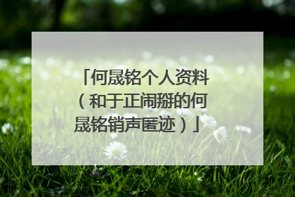 何晟铭个人资料(和于正闹掰的何晟铭销声匿迹)