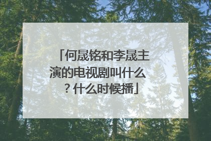 何晟铭和李晟主演的电视剧叫什么？什么时候播