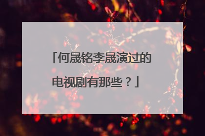 何晟铭李晟演过的电视剧有那些？