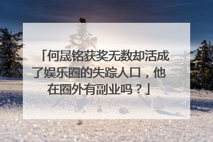何晟铭获奖无数却活成了娱乐圈的失踪人口,他在圈外有副业吗?
