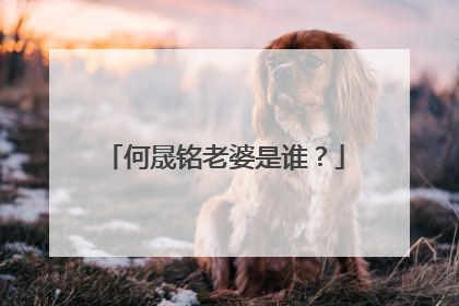 何晟铭老婆是谁？