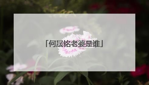 何晟铭老婆是谁