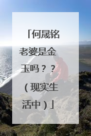 何晟铭老婆是金玉吗？？（现实生活中）