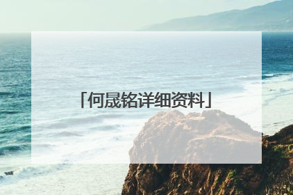 何晟铭详细资料