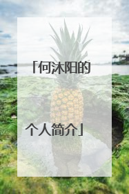 何沐阳的个人简介