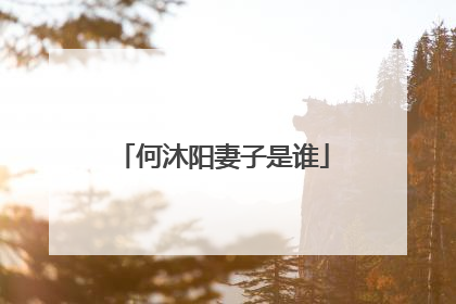 何沐阳妻子是谁