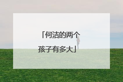 何洁的两个孩子有多大