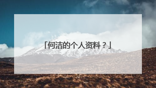 何洁的个人资料?