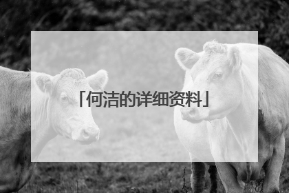 何洁的详细资料