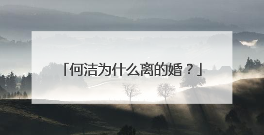 何洁为什么离的婚？