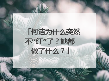 何洁为什么突然不“红”了?她都做了什么?