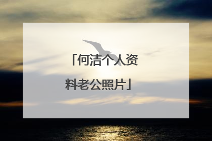 何洁个人资料老公照片