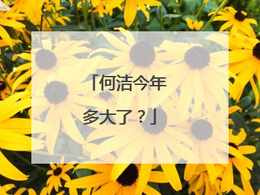 何洁今年多大了？