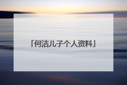 何洁儿子个人资料