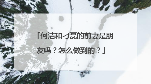 何洁和刁磊的前妻是朋友吗？怎么做到的？