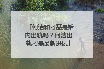 何洁和刁磊是婚内出轨吗？何洁出轨刁磊最新进展